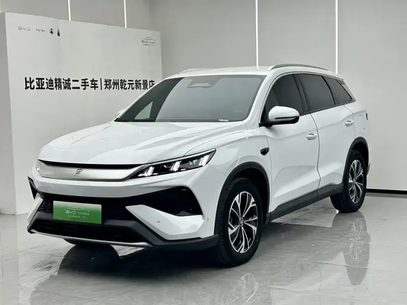 BYD Pro New Energy, 2025