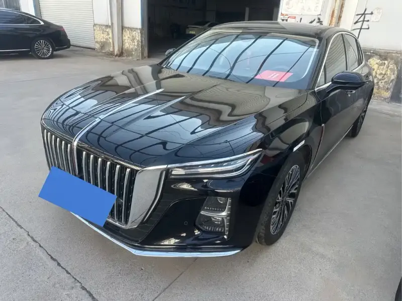 Hongqi H5, 2024