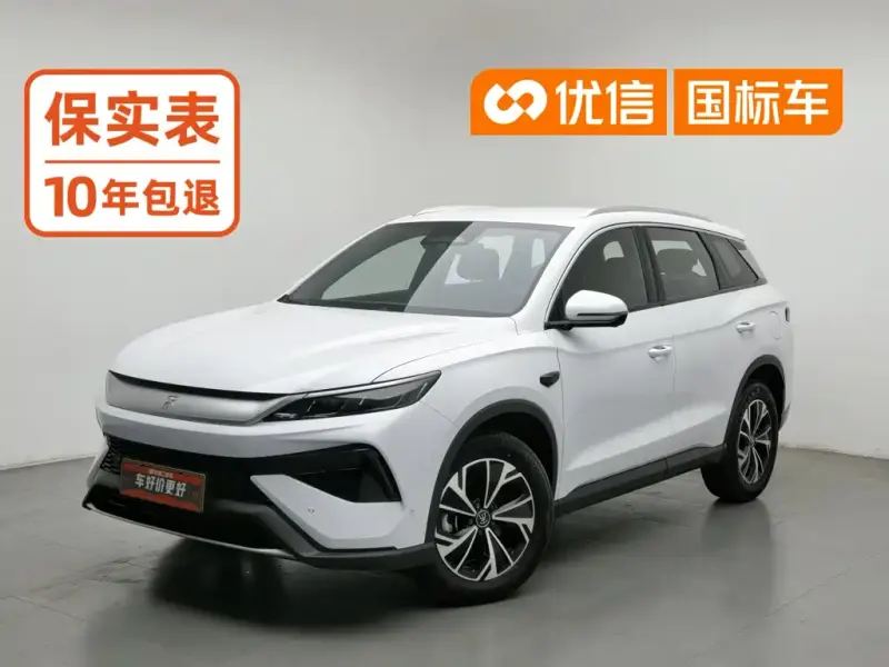 BYD Pro New Energy, 2025