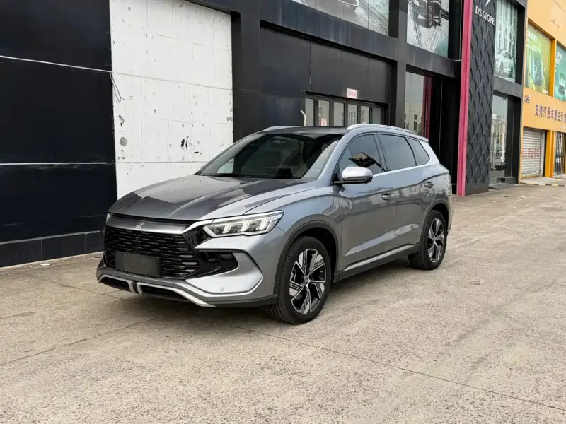 BYD Pro New Energy, 2024