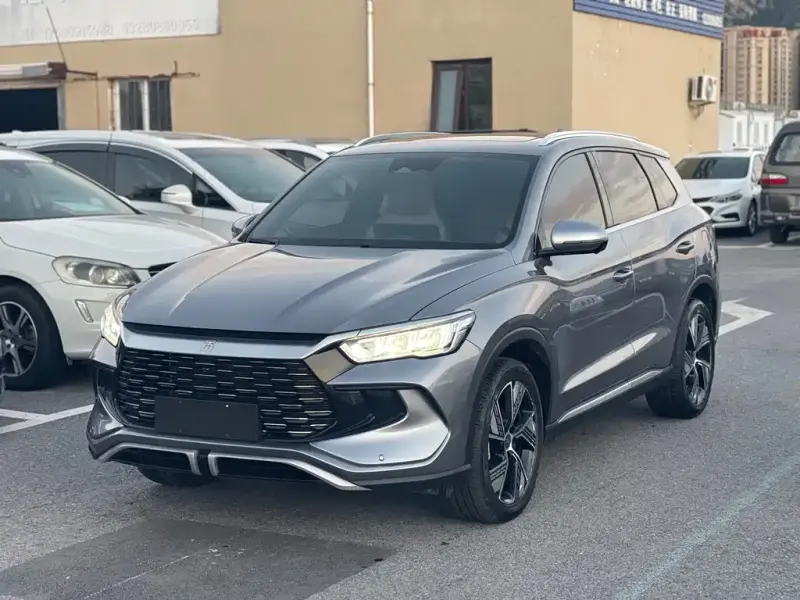 BYD Pro New Energy, 2024