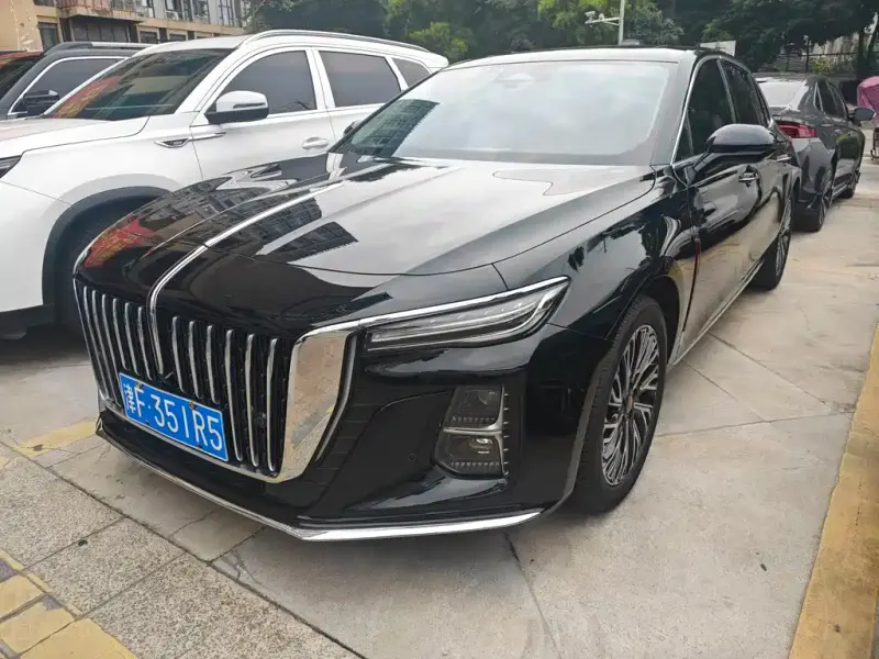Hongqi H5, 2024