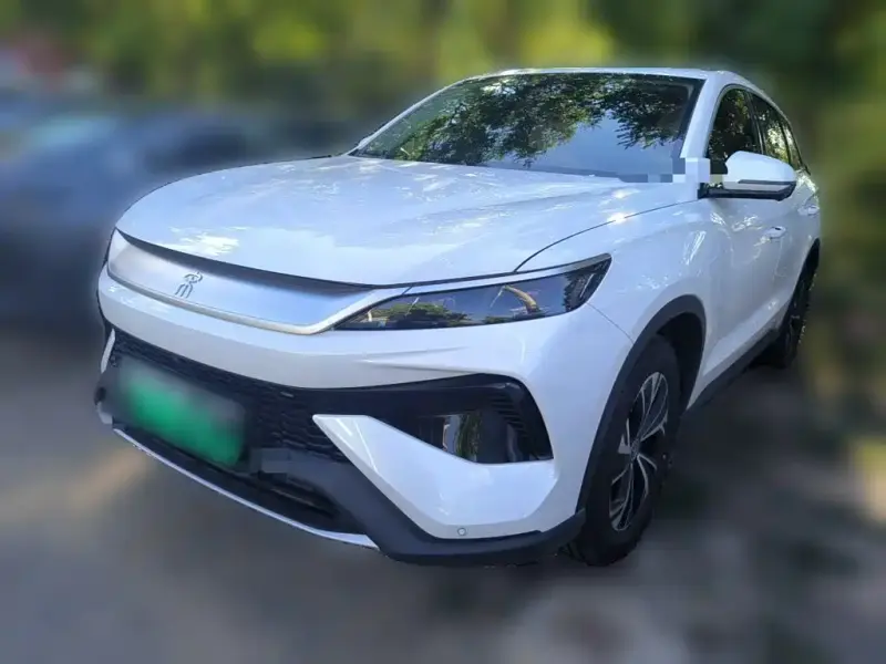 BYD Pro New Energy, 2024