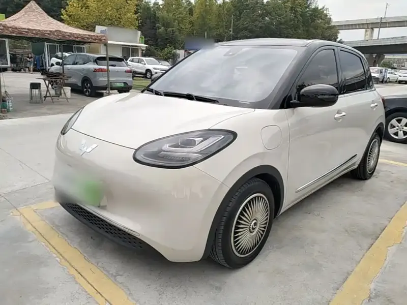 Wuling Bingo, 2023