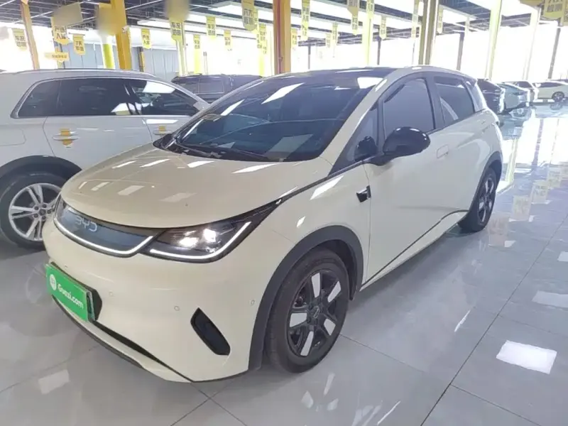 BYD Dolphin, 2025