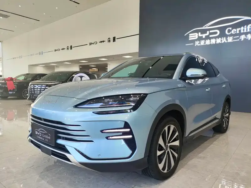 BYD PLUS New Energy, 2024