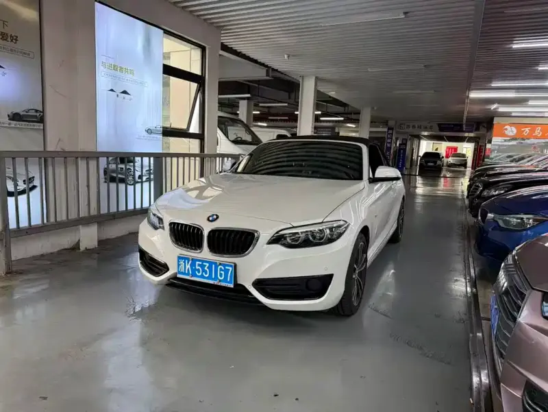 BMW 2 Series (Import), 2018