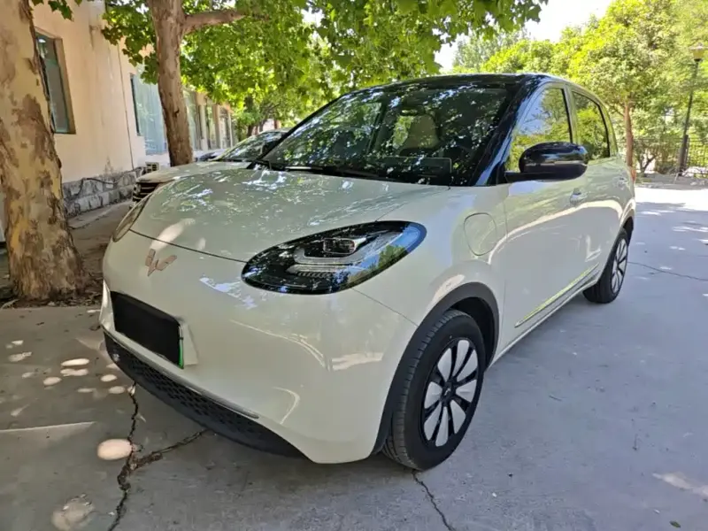 Wuling Bingo, 2024