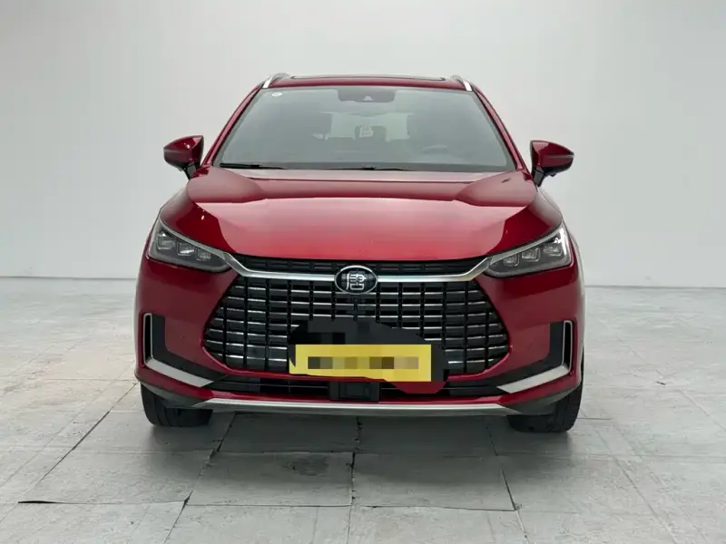 BYD Tang New Energy, 2021
