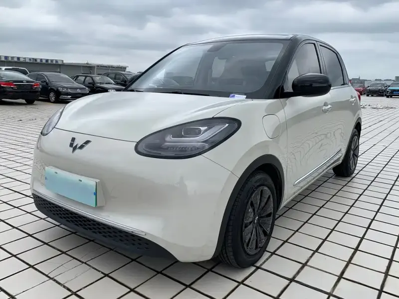 Wuling Bingo, 2024