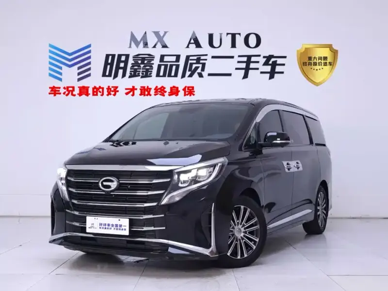 GAC Motor Trumpchi M8, 2021