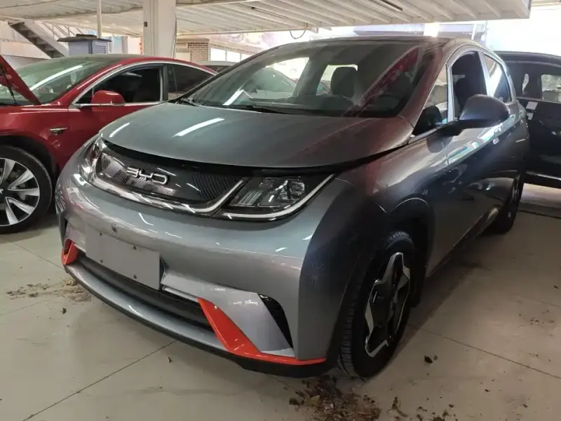 BYD Dolphin, 2022