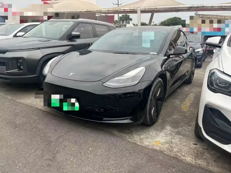 Tesla Model 3 Tesla Model 3 2021 Standard Range RWD Upgrade Edition, 2022 — фото 1