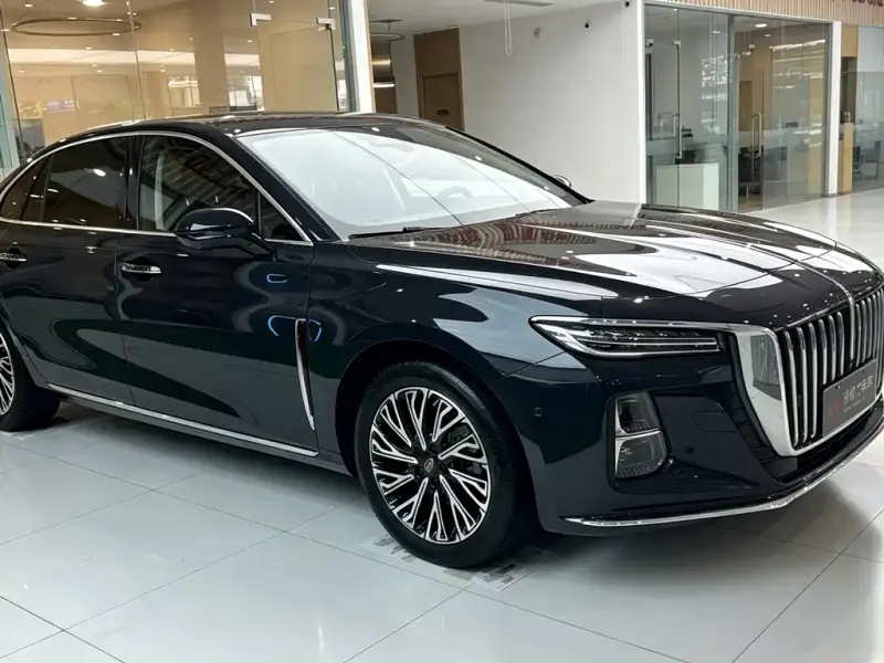 Hongqi H5, 2024