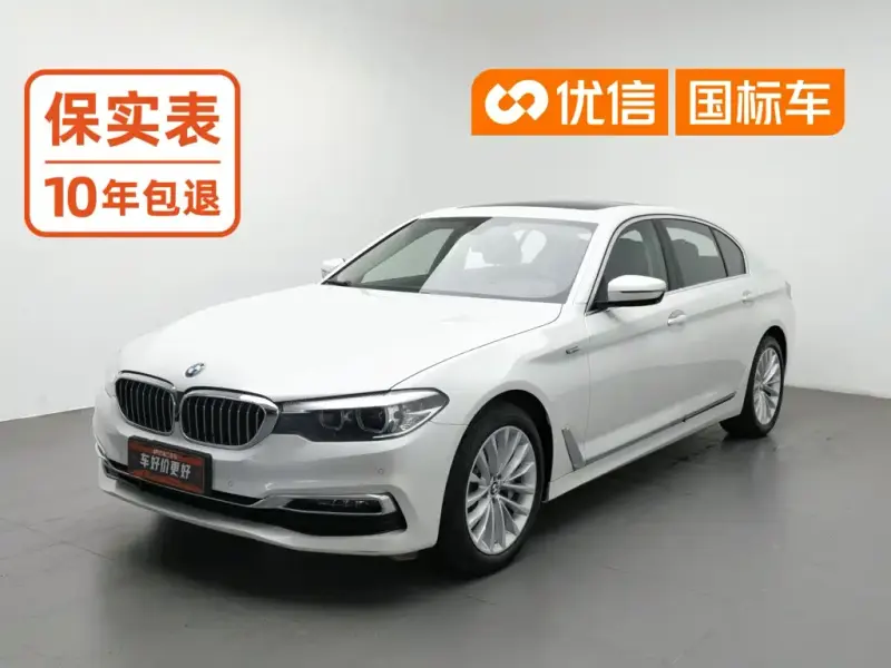 BMW 5 Series BMW 5 Series 2019 530Li xDrive Luxury Package, 2019 — фото 1