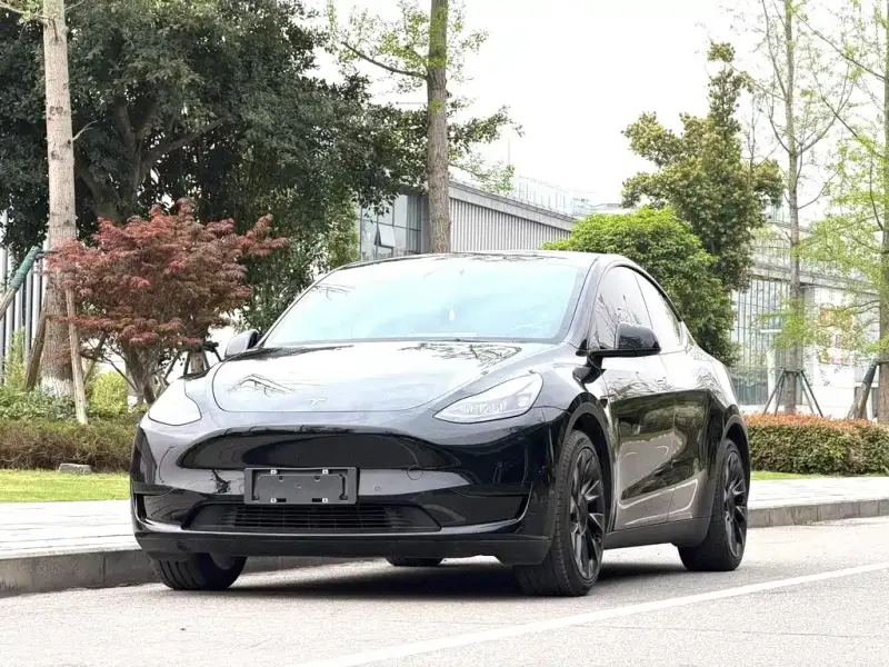 Tesla Model Y, 2021