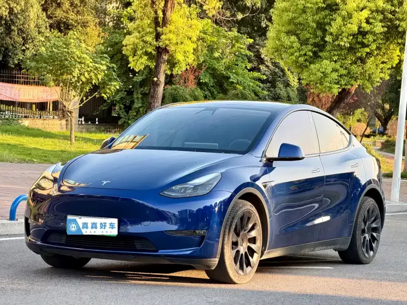 Tesla Model Y, 2021