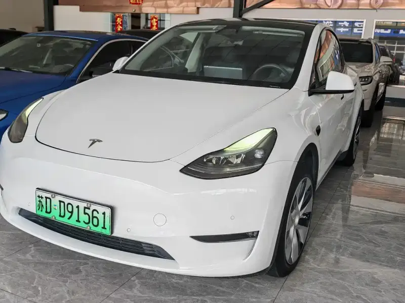 Tesla Model Y, 2021