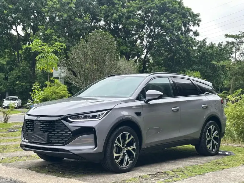BYD Tang New Energy, 2025