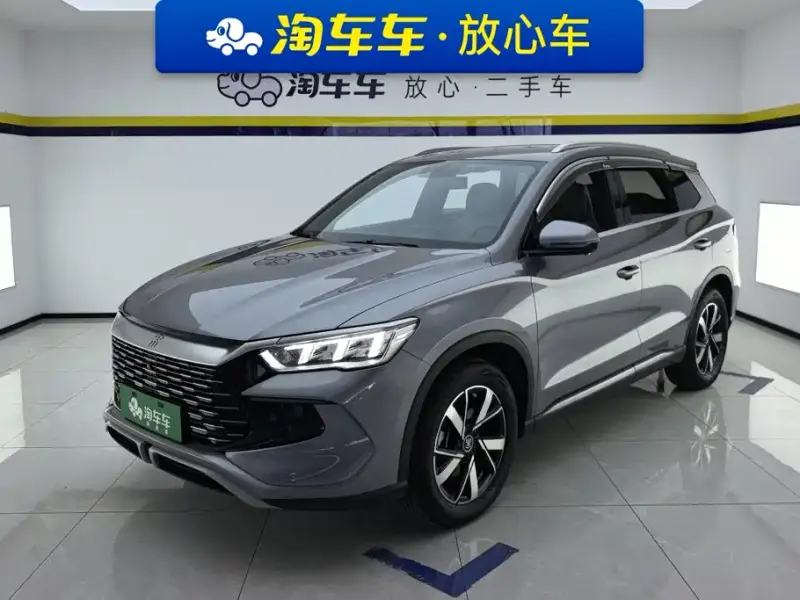 BYD Pro New Energy, 2024