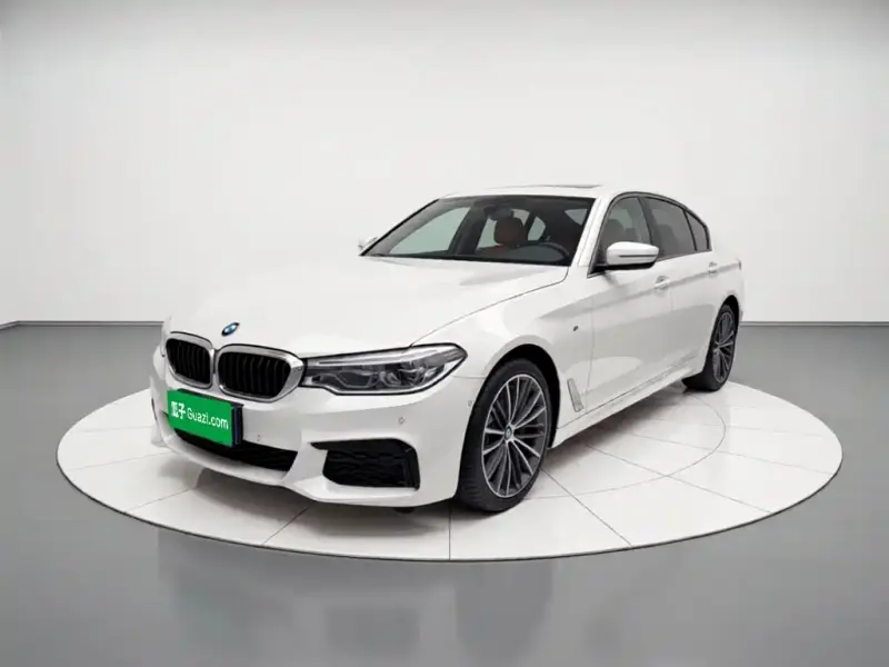 BMW 5 Series BMW 5 Series 2020 530Li Leading Type M Sport Package, 2020 — фото 1