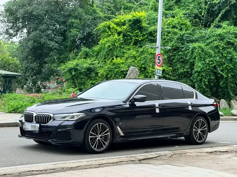 BMW 5 Series, 2021