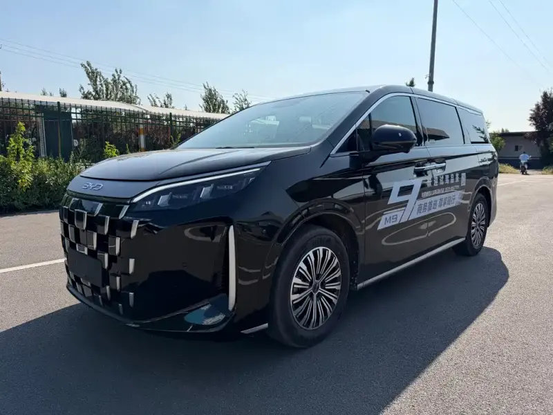 BYD M9 BYD Xia 2025 1060 Navigator Edition, 2026 — фото 1