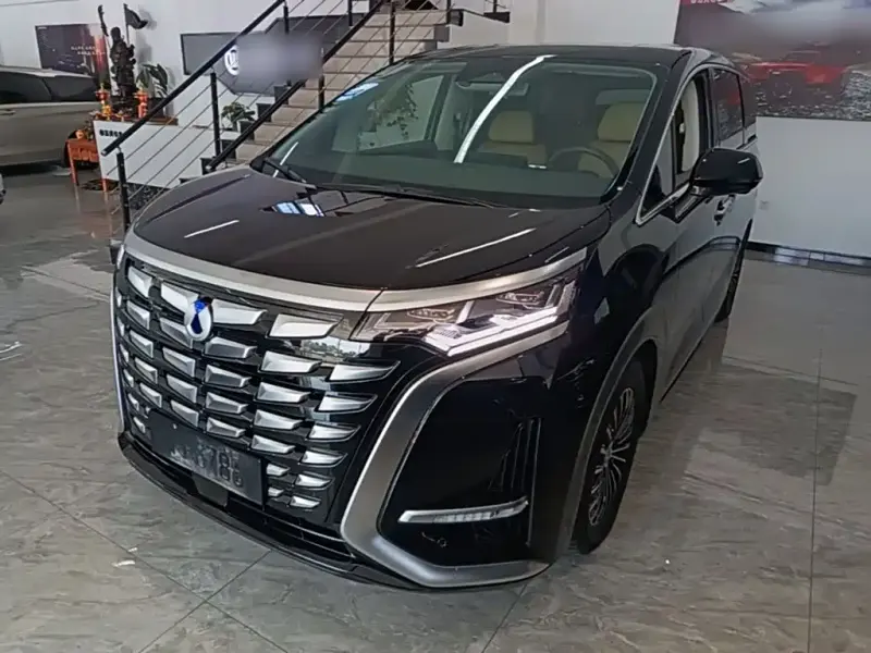 Denza D9, 2023