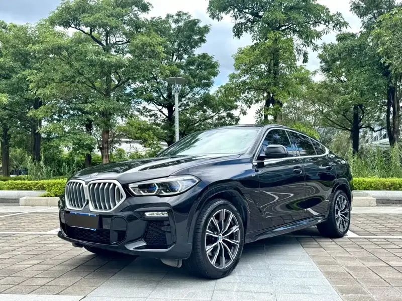 BMW X6, 2021
