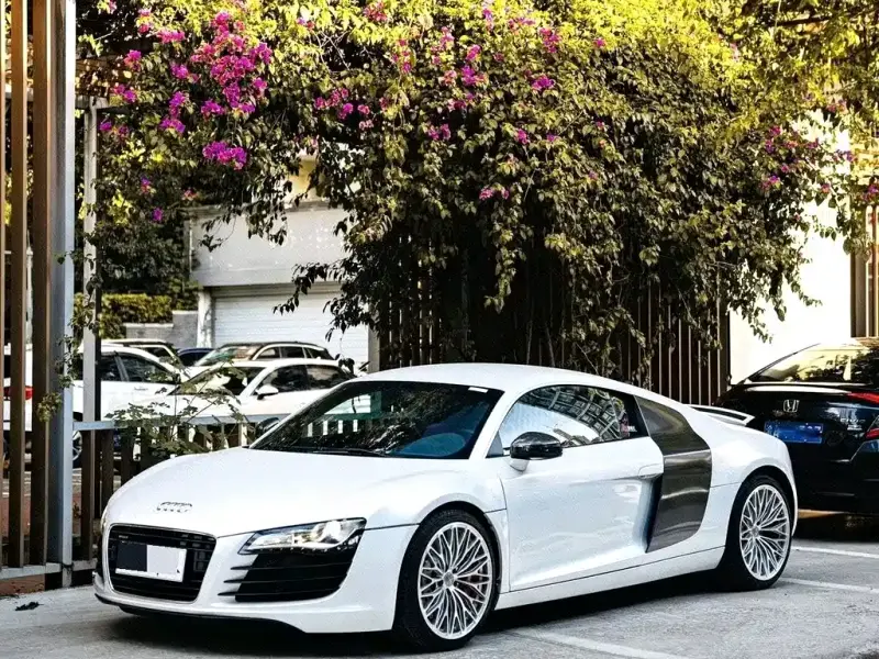 Audi R8, 2009