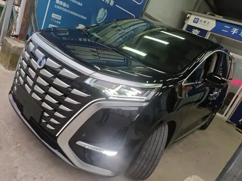 Denza D9, 2024