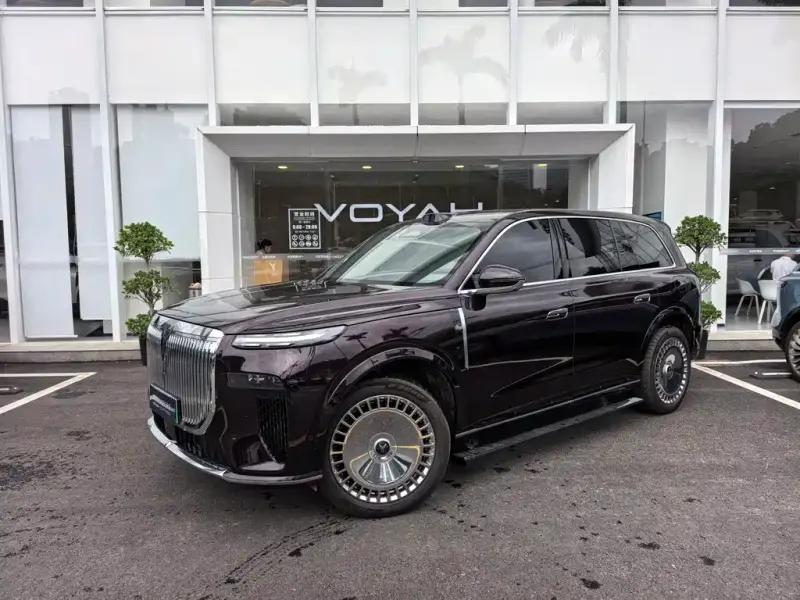 VOYAH Taishan, 2025