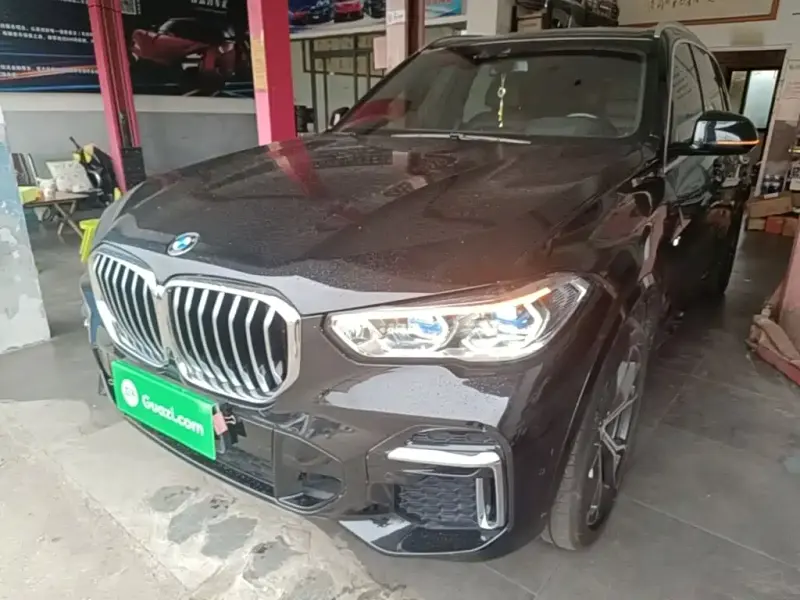 BMW X5 BMW X5 2022 xDrive 40Li M Sport Package, 2022 — фото 1