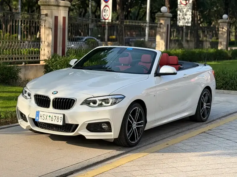 BMW 2 Series (Import), 2019