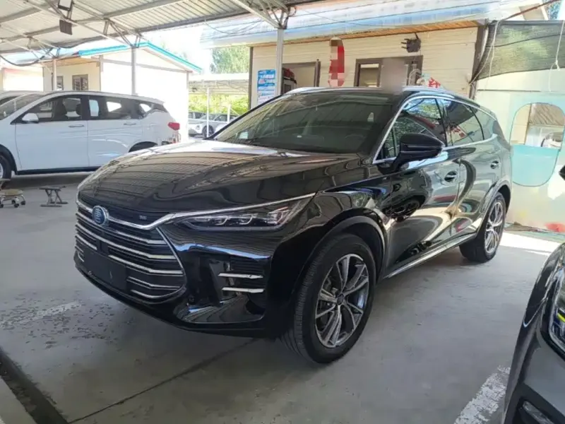 BYD Tang New Energy, 2020