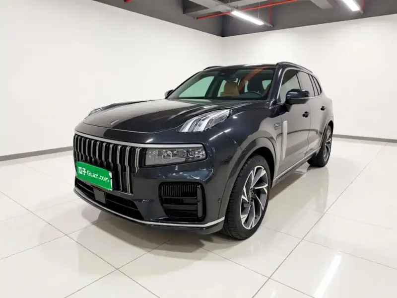 Lynk & Co 09 EM-P Lynk & Co 09 EM-P 2023 2.0TD EM-P Voyage Edition PM 6-seat, 2024 — фото 1