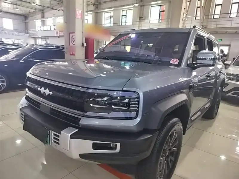 Fang Cheng Bao Leopard 5, 2024