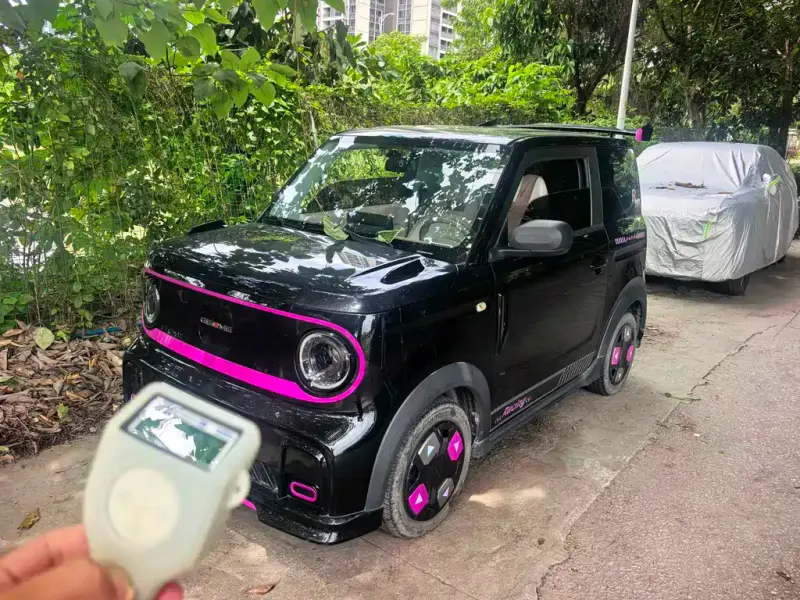 Galaxy Panda, 2024