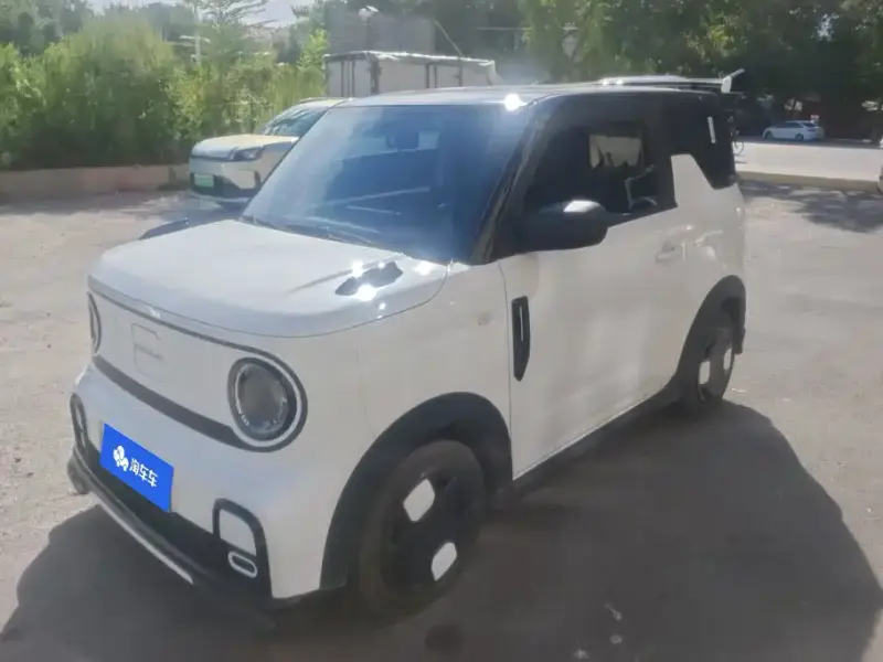 Galaxy Panda, 2025