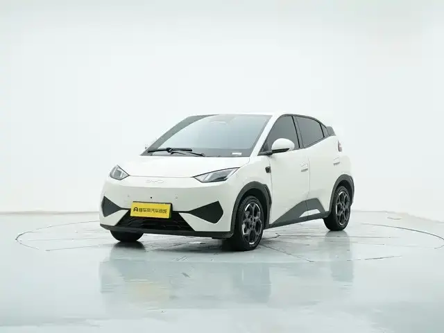 BYD Seagull, 2025