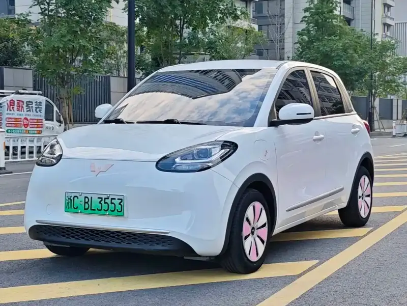 Wuling Bingo, 2024