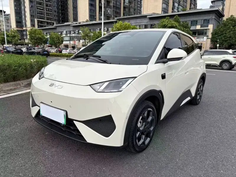 BYD Seagull, 2025