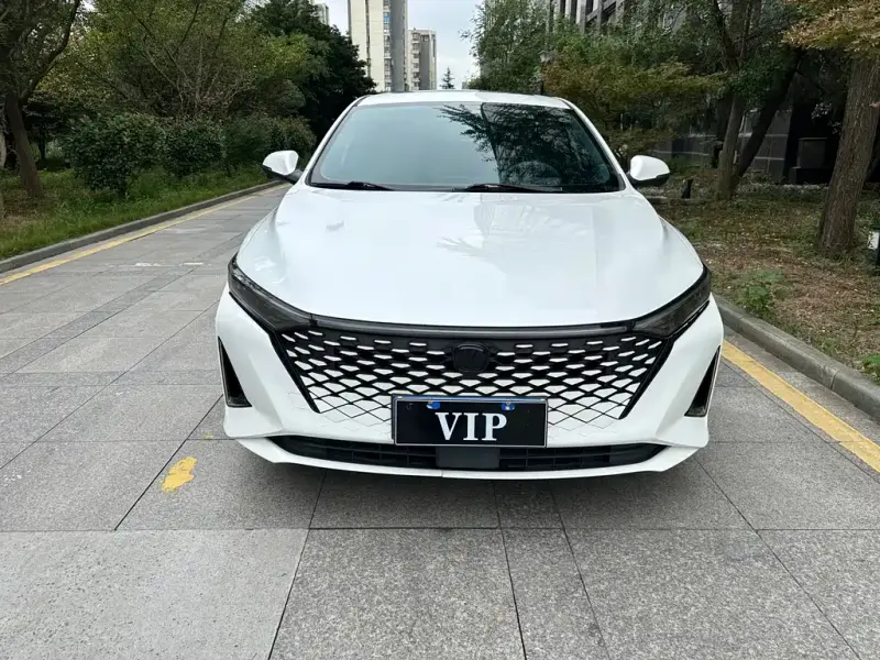 Changan Ruicheng PLUS, 2023