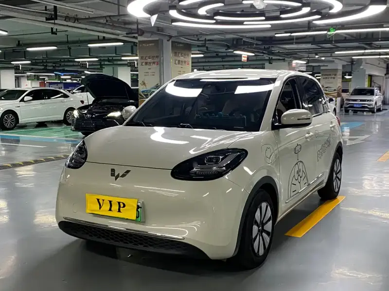 Wuling Bingo, 2024