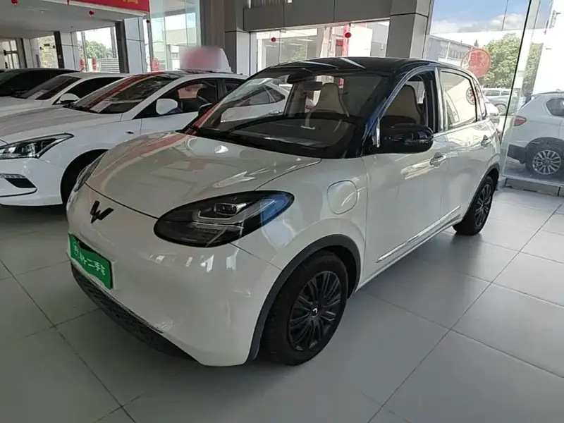 Wuling Bingo, 2023