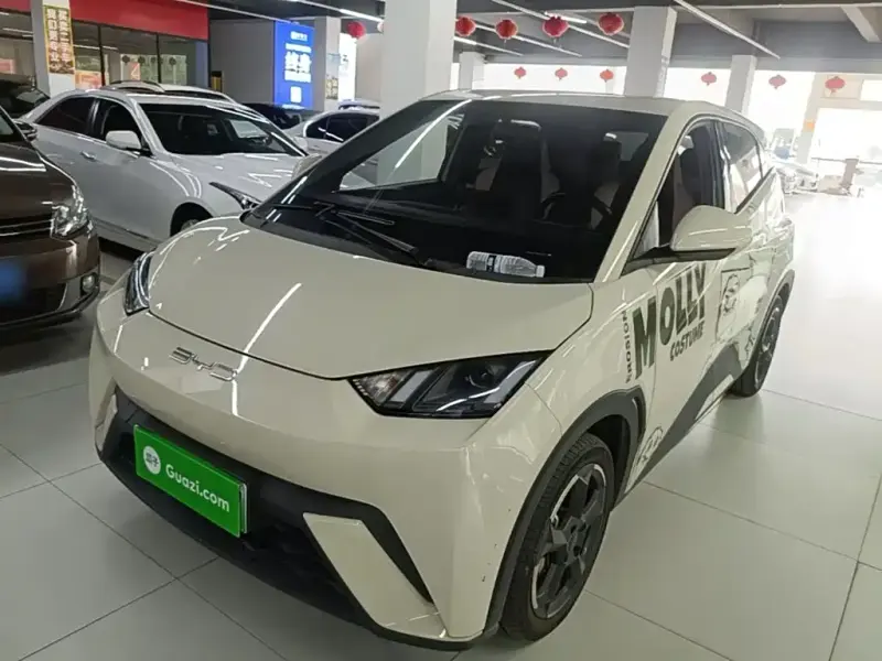 BYD Seagull, 2023