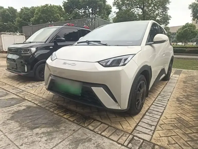 BYD Seagull, 2023