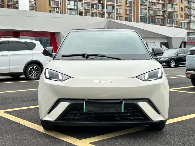 BYD Seagull, 2025