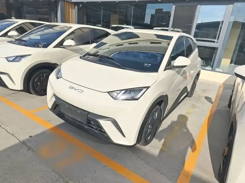 BYD Seagull, 2024