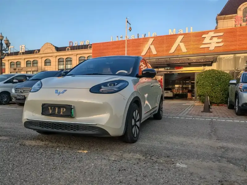 Wuling Bingo, 2024